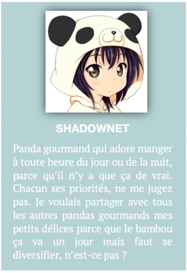 PROFILE BARRE LATÉRALE SHADOWNET BLOGOURMAND